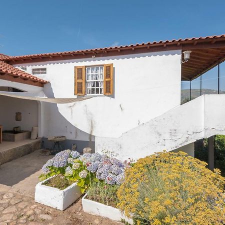 Quinta Do Acipreste ลาเมโก ภายนอก รูปภาพ
