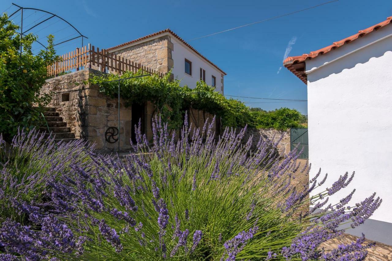 Quinta Do Acipreste ลาเมโก ภายนอก รูปภาพ