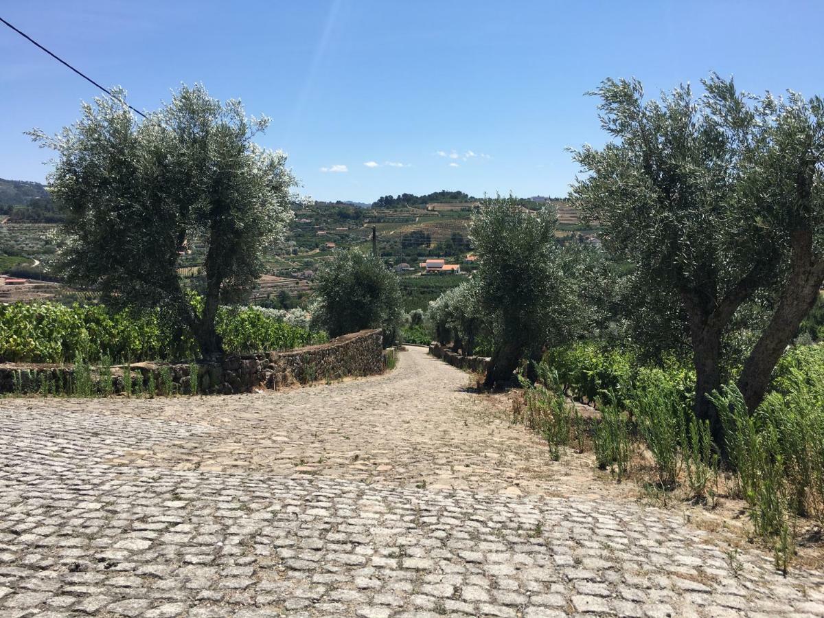 Quinta Do Acipreste ลาเมโก ภายนอก รูปภาพ