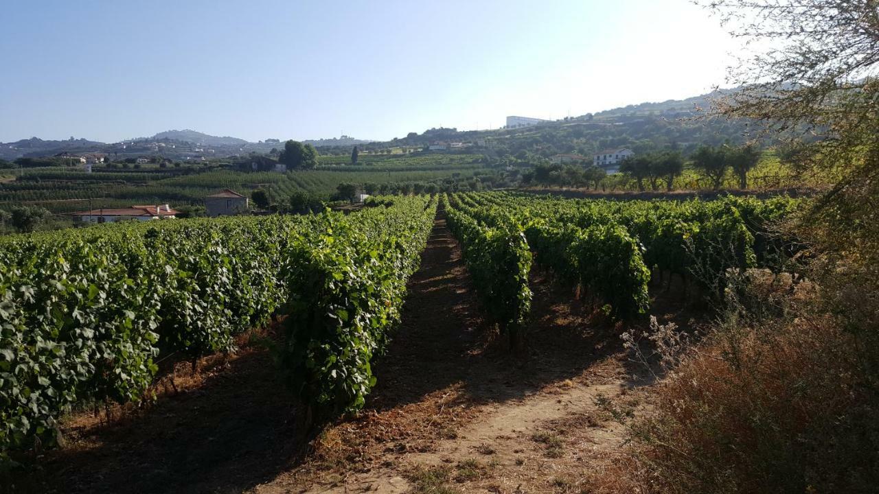Quinta Do Acipreste ลาเมโก ภายนอก รูปภาพ