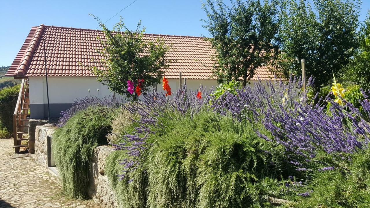 Quinta Do Acipreste ลาเมโก ภายนอก รูปภาพ