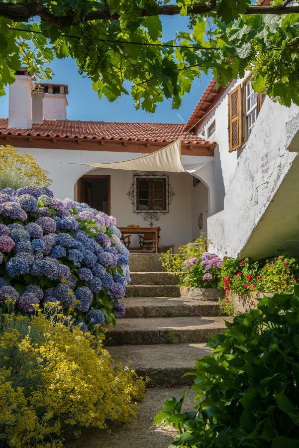 Quinta Do Acipreste ลาเมโก ภายนอก รูปภาพ