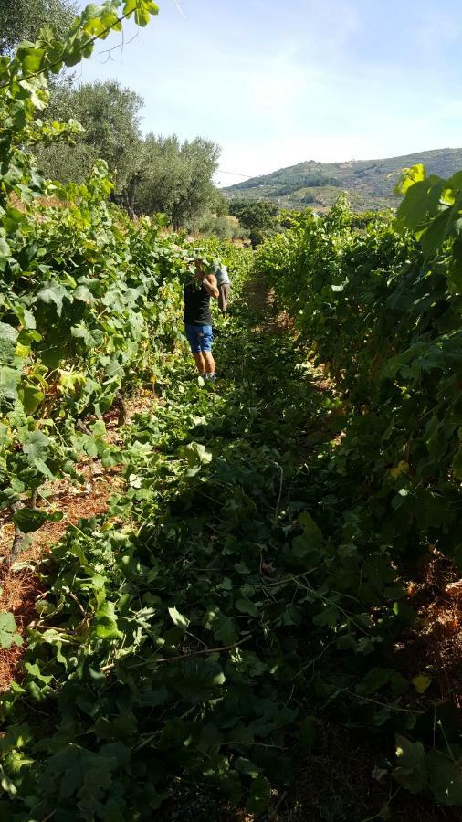 Quinta Do Acipreste ลาเมโก ภายนอก รูปภาพ