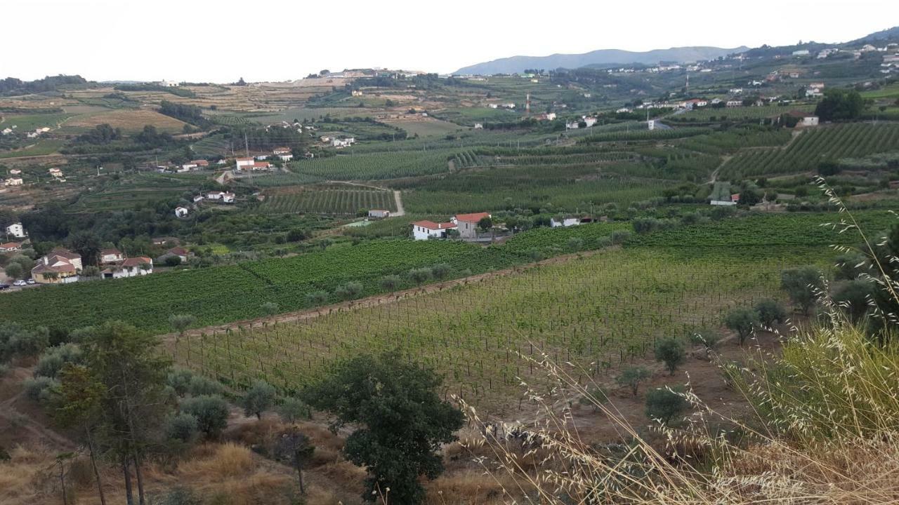 Quinta Do Acipreste ลาเมโก ภายนอก รูปภาพ